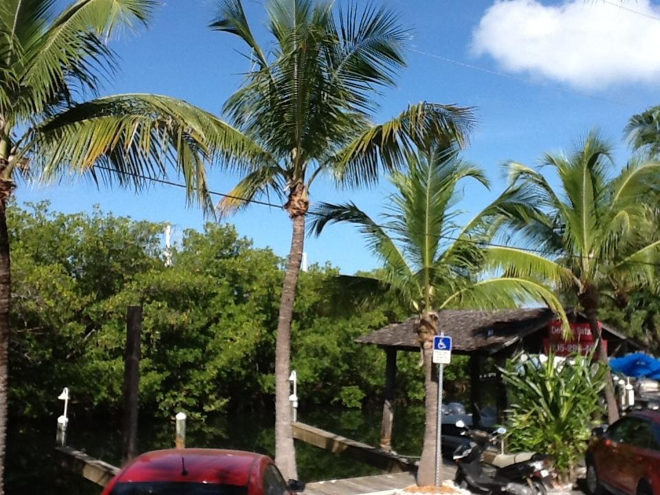 קי וסט Banana Bay Resort (Adults Only) מראה חיצוני תמונה