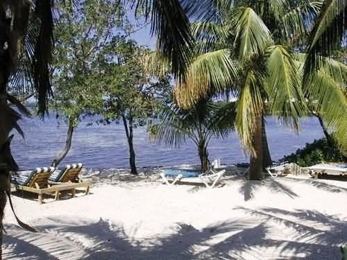 קי וסט Banana Bay Resort (Adults Only) מראה חיצוני תמונה
